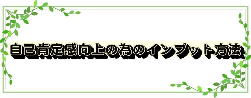 自己肯定感向上の為のインプット方法