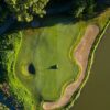 aerial view of green trees beside river during daytime