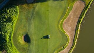 aerial view of green trees beside river during daytime