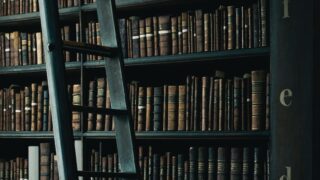 library shelf near black wooden ladder