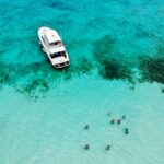 bird's-eye photography of people near white boat