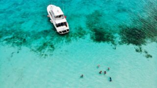 bird's-eye photography of people near white boat